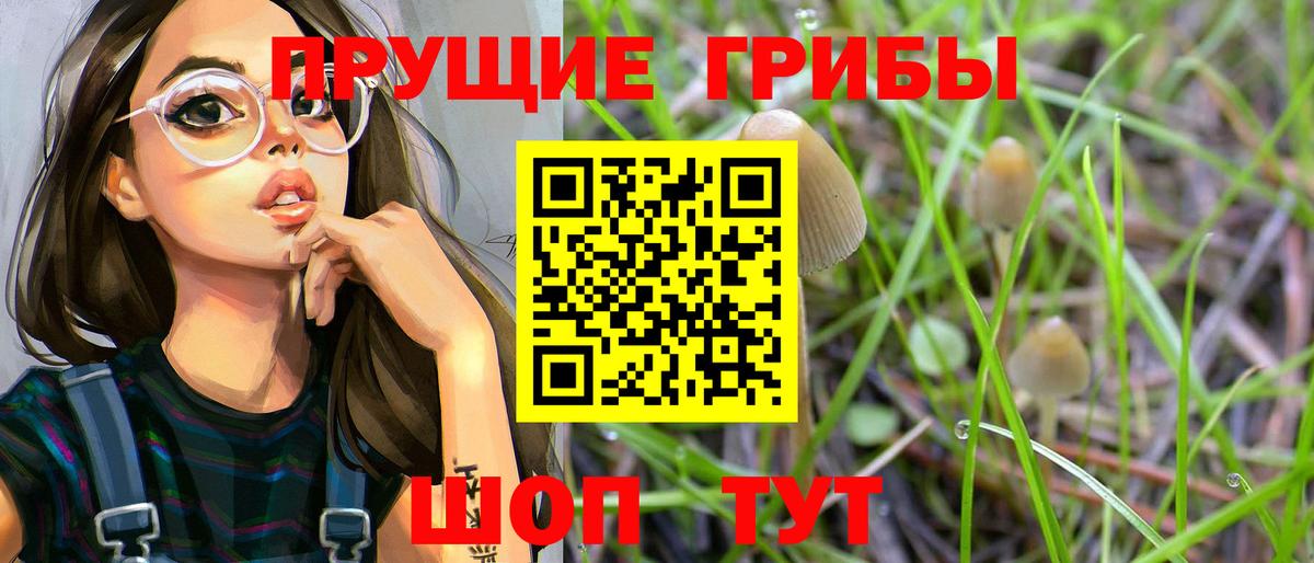 Псилоцибиновые грибы Cubensis  Вход с VPN  Нефтекумск  Галлюциногенные грибы Psilocybine cubensis 